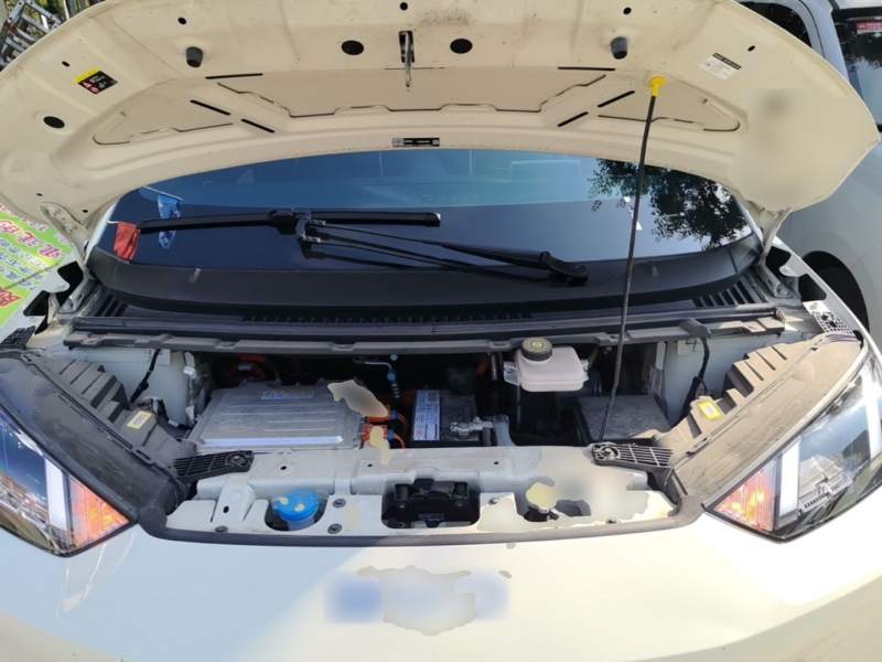 Used BYD Seagull 2024 Honor Edition 305km Freedom Version — 19