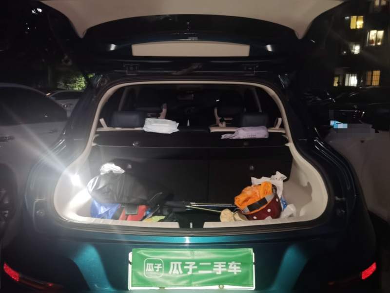 Used ORA Good Cat 2021 400km Standard Range Athena Edition Lithium-Ion Battery — 20