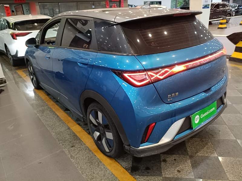Used BYD Dolphin 2021 401km Knight Edition — 4