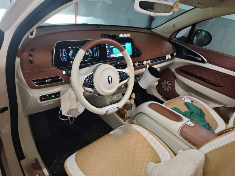 Used ORA Good Cat 2024 401 km Range Luxury Version 135 kW — 5