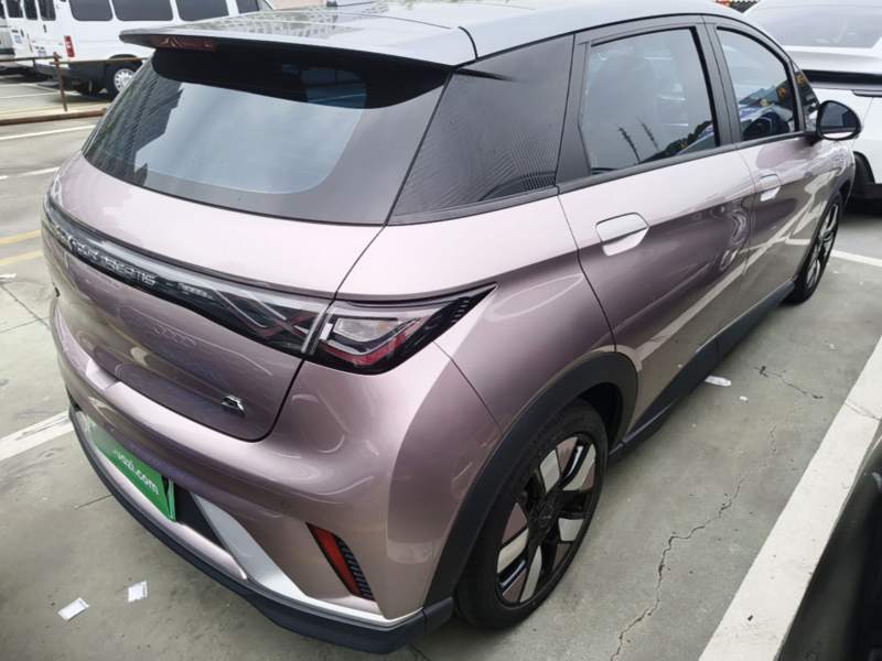 Used BYD Dolphin 2021 401km Knight Edition — 6