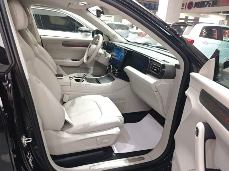 Used Leapmotor C11 2023 Pure Electric 580 All-Wheel-Drive Performance Edition — 24