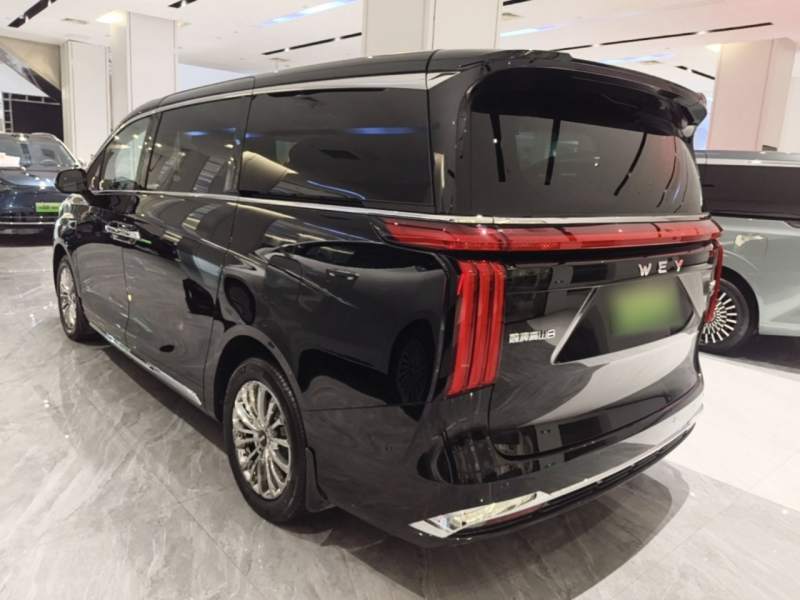 Used Wey Gaoshan 2025 Four-Wheel Drive Alpine 8 — 4