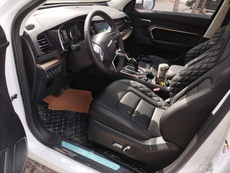 Used Haval H6 2021 1.5T Automatic Champion Edition — 15