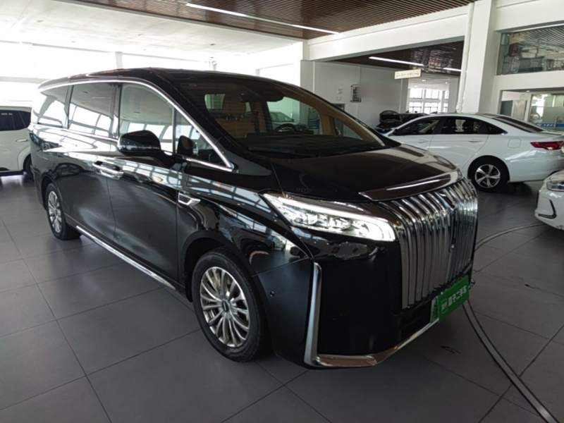 Used Wey Gaoshan 2023 Four-Wheel-Drive Executive Extended Version — 27