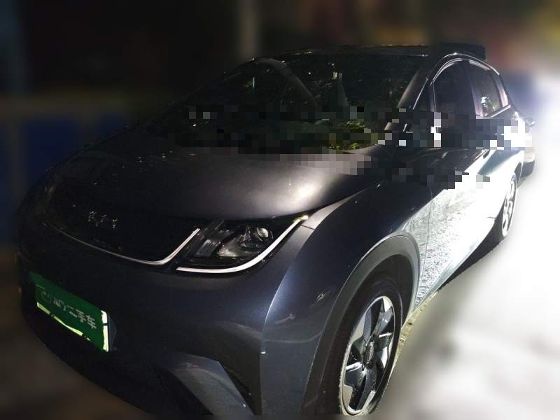 Used BYD Dolphin 2025 420km Free Edition