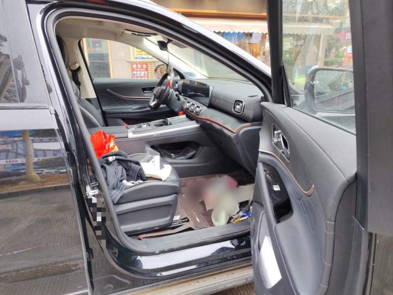 Used Chery Tiggo 9 2023 2.0T Dual-Clutch Two-Wheel Drive Luxury Edition 5 Seats — 24
