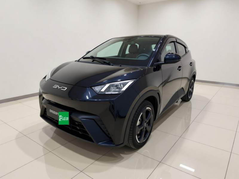 Used BYD Seagull 2023 Free Edition — 1