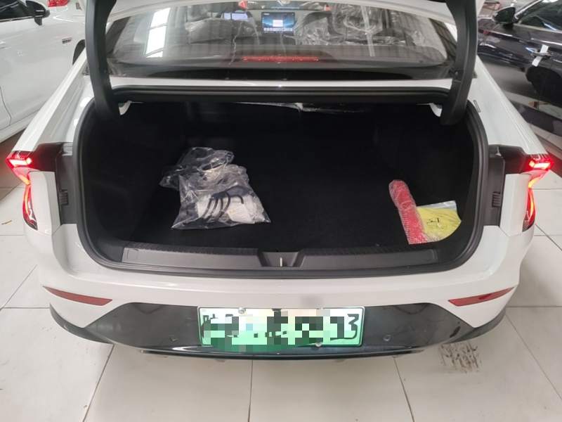Used Wuling Xingguang 2025 70km Smart Standard Version — 18