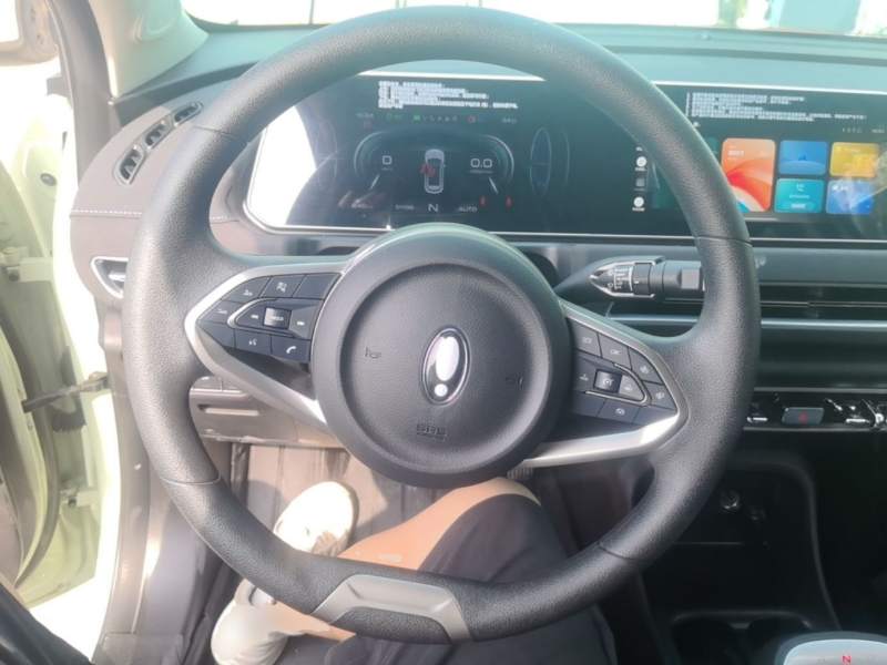Used ORA Good Cat 2022 Morandi Edition 400km Standard Range Two-Week Young Enjoyment Version Lithium Iron Phosphate — 10
