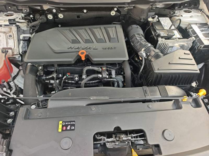 Used Haval H6 2021 3rd Generation 1.5T Automatic Two-Wheel Drive Pro — 19