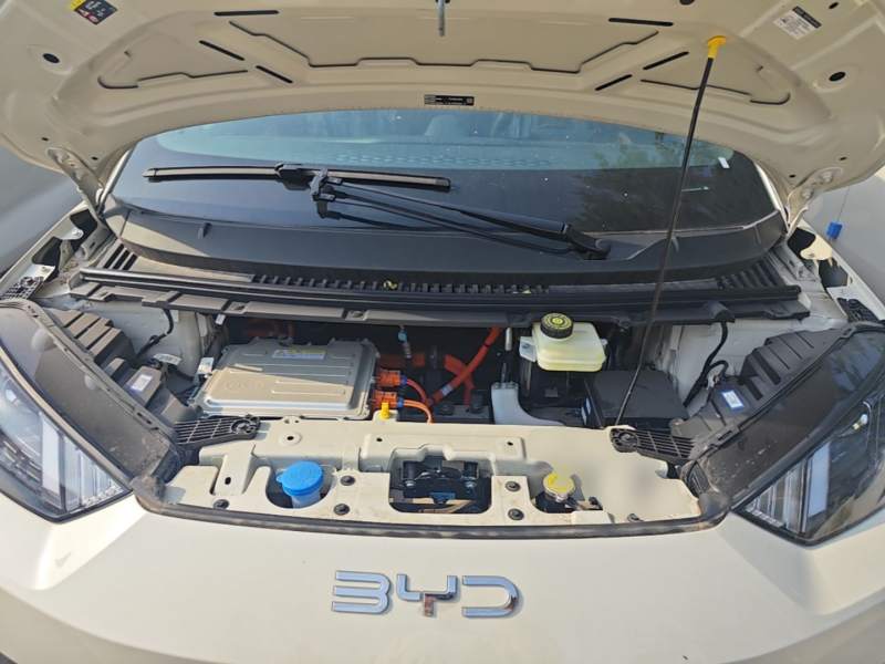 Used BYD Seagull 2025 305km Active Version — 19