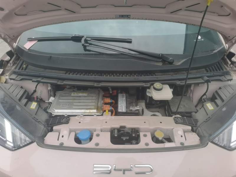 Used BYD Seagull 2023 Free Edition — 19
