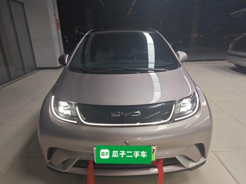 Used BYD Dolphin 2021 405 km Fashion Edition — 2