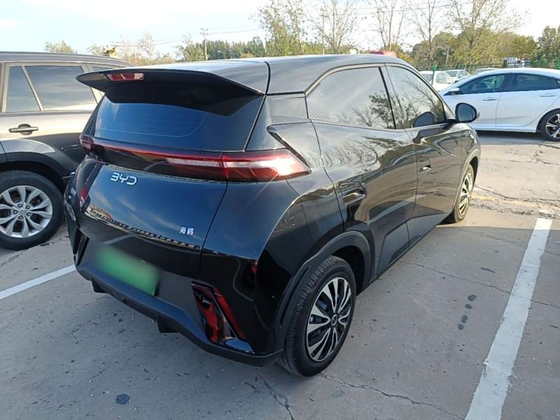 Used BYD Seagull 2024 Honor Edition 305km Dynamic Version — 6