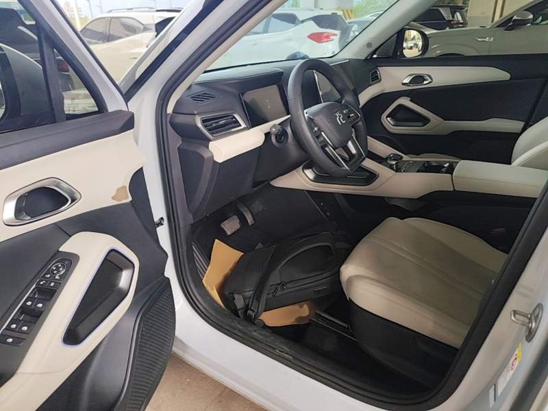 Used BYD Yuan UP 2024 401KM Leading Edition — 15