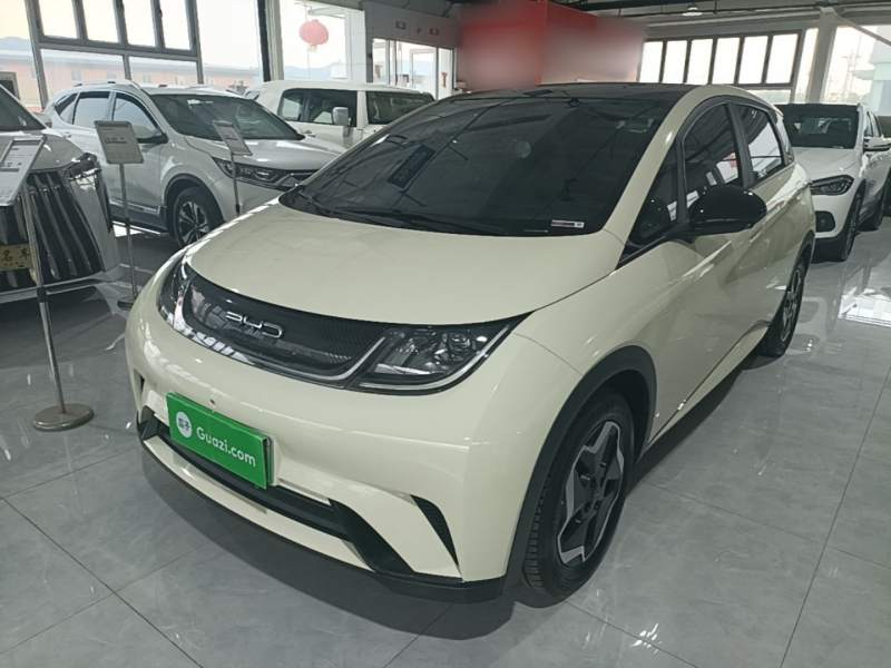 Used BYD Dolphin 2021 405 km Fashion Edition