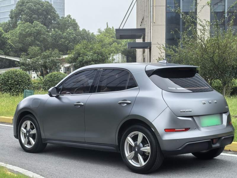 Used ORA Good Cat 2025 Model, 430 km Prestige Version — 30