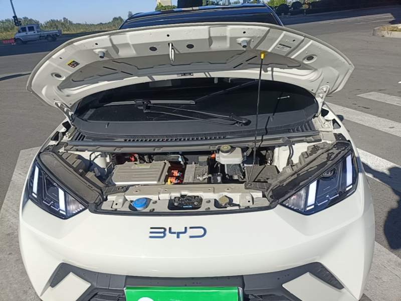 Used BYD Seagull 2025 305 km Free Version — 19