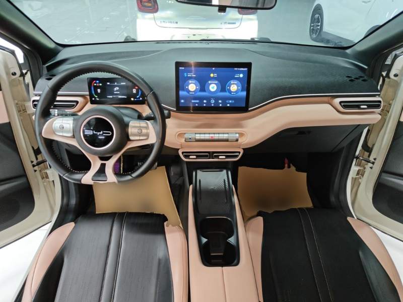 Used BYD Seagull 2023 Free Edition — 9