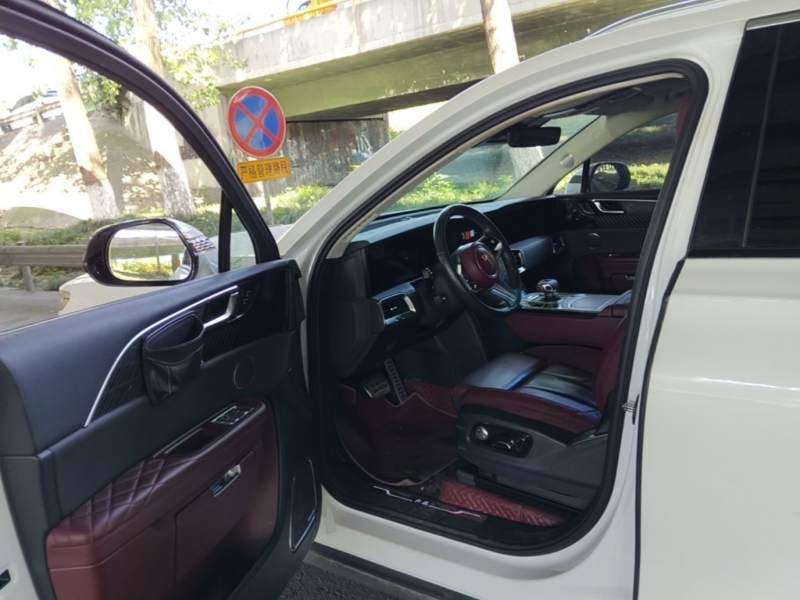 Used Hongqi E-HS9 2021 460 km Range Flagship Edition Six-Seater — 15