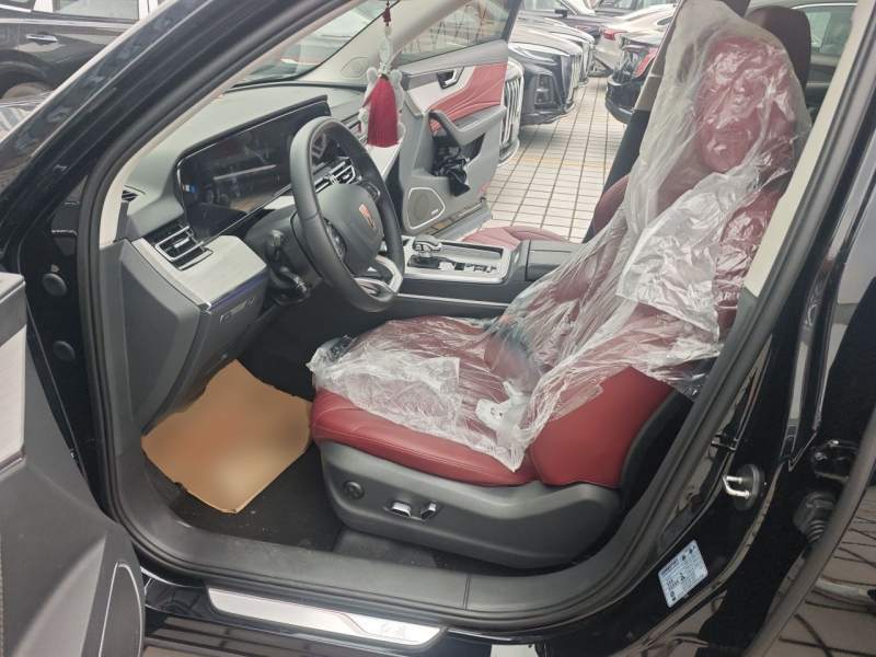 Used Hongqi HS5 2025 2.0T Two-Wheel Drive Flagship Pro Edition – Chinese Trim Xiang — 11