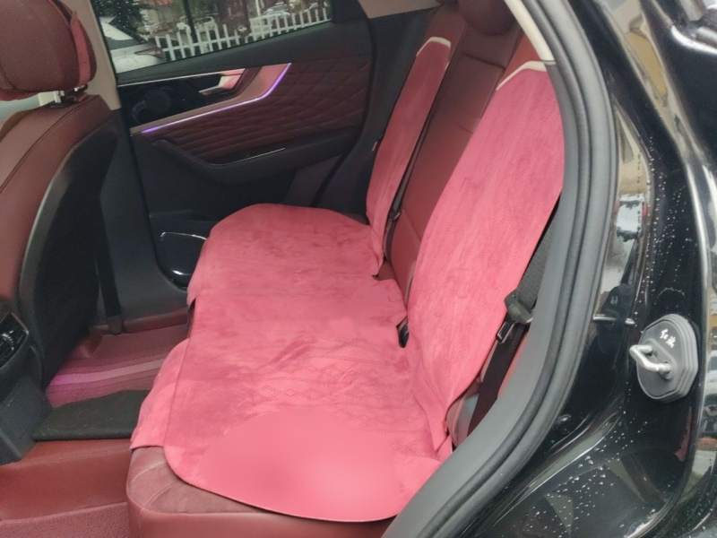 Used Hongqi HS5 2022 Facelifted Version 2.0T Smart Connect Flagship All-Wheel-Drive Edition — 21