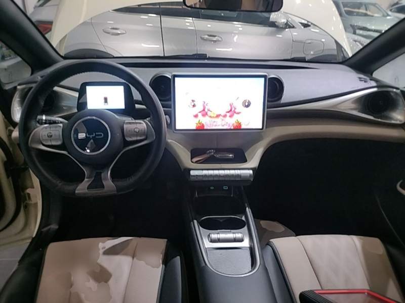 Used BYD Dolphin 2025 420km Fashion Edition — 9