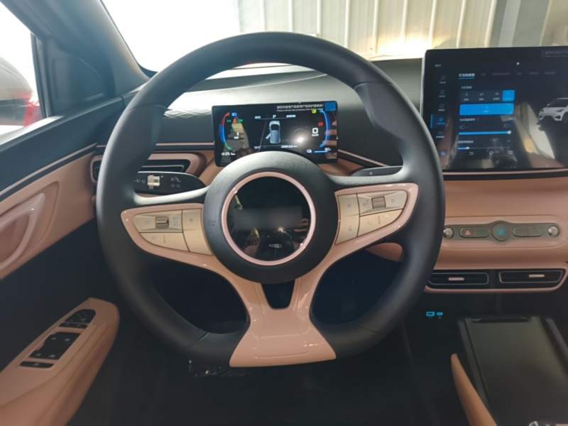 Used BYD Seagull 2025 Intelligent Driving Version 305 km Dynamic Edition — 10