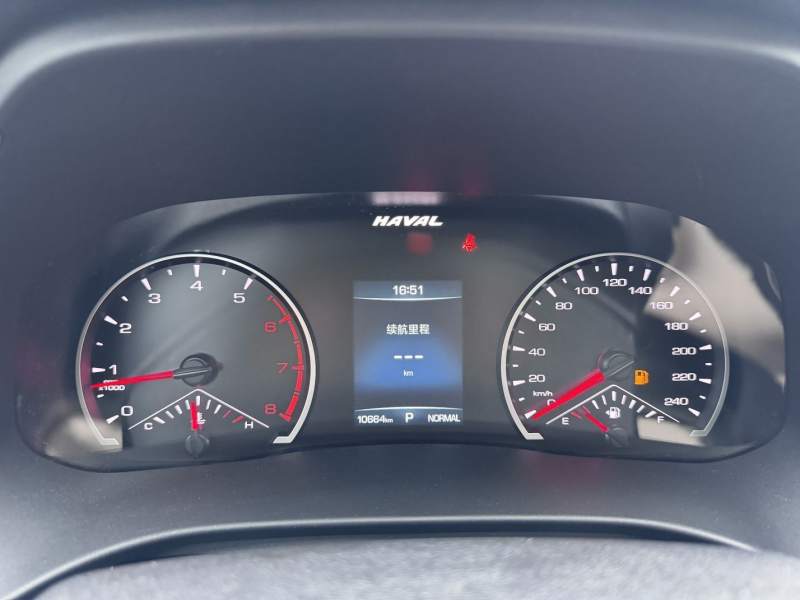Used Haval H6 2023 National Trend Edition 1.5T Automatic Urban Version — 40