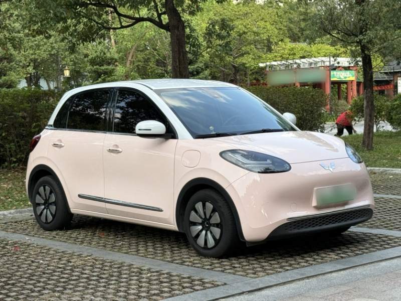 Used Wuling Bingo 2023 333 km Lingxi Connected+ Version — 31