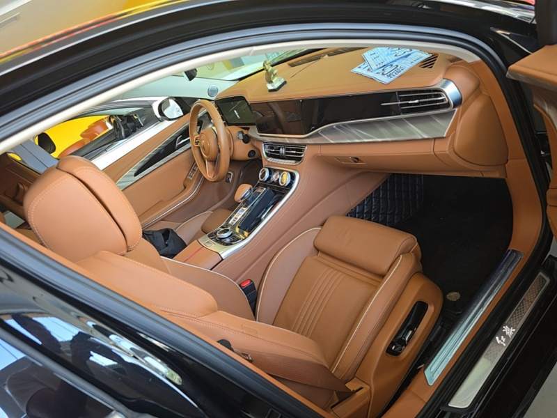 Used Hongqi H9 2020 2.0T Smart Connect Flagship Edition – Chinese Trim Xiang — 24