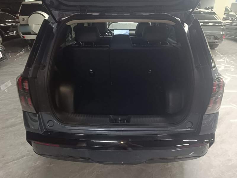 Used AION V 2024 Aion Tyrannosaurus 650 Smart Luxury Edition — 18