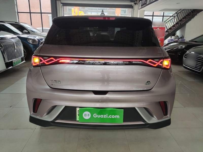 Used BYD Dolphin 2021 401km Knight Edition — 5
