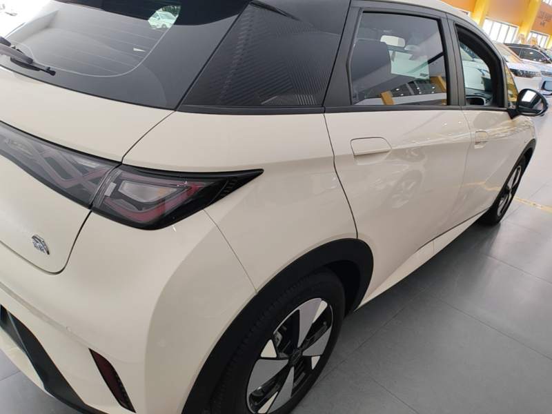 Used BYD Dolphin 2023 420 km Fashion Edition — 6