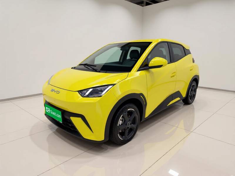 Used BYD Seagull 2023 Free Edition — 1