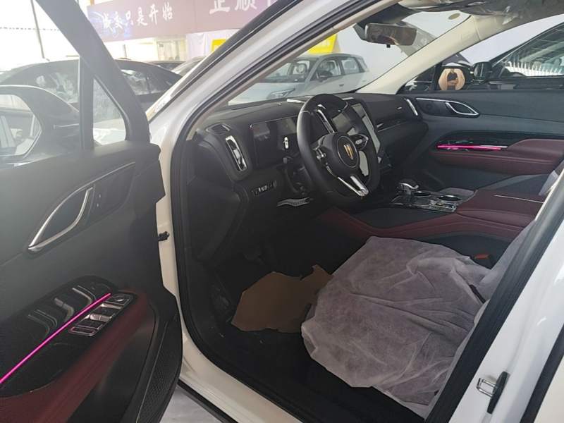 Used Hongqi HS3 PHEV 2025 Model 125km Jingwei 2 Millionth Anniversary Edition — 15