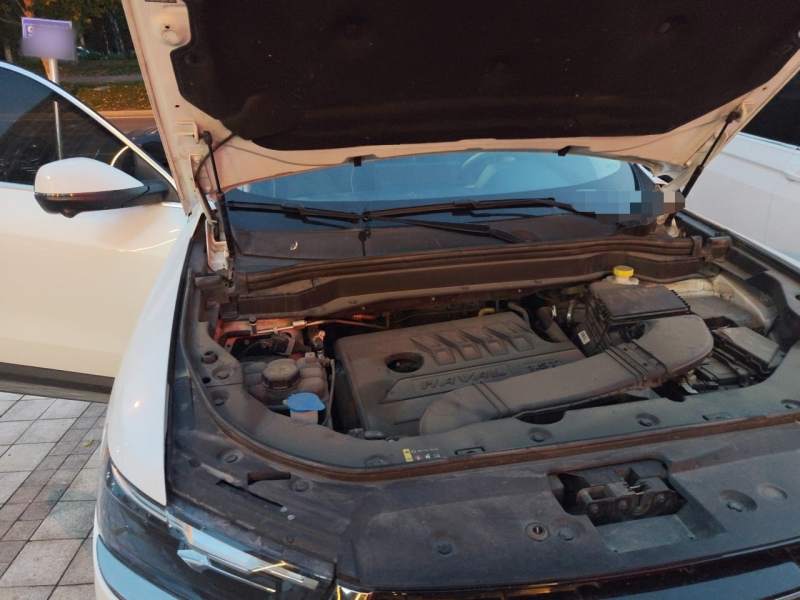 Used Haval H6 2021 National Trend Edition 1.5T Automatic Champion Version — 21