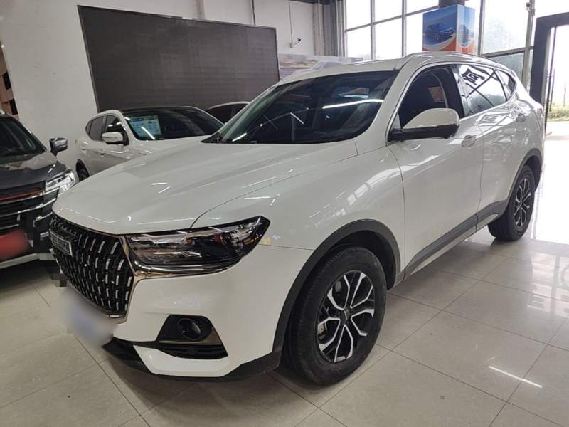 Used Haval H6 2023 National Trend Edition 1.5T Automatic Urban Version