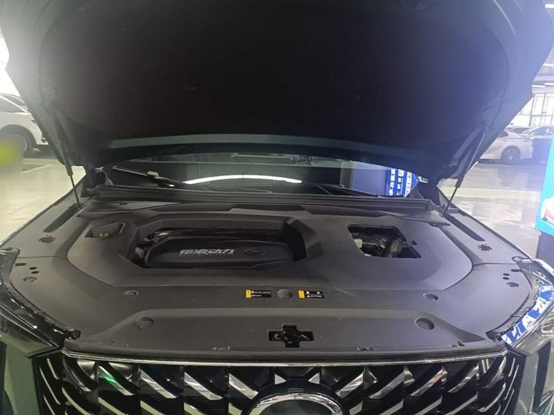 Used GAC Trumpchi GS8 2022 Flagship Series 2.0 TGDI Two-Wheel-Drive Prestige Edition (6-seater) — 19