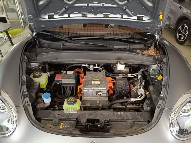 Used ORA Good Cat 2025 Model, 430 km Prestige Version — 19