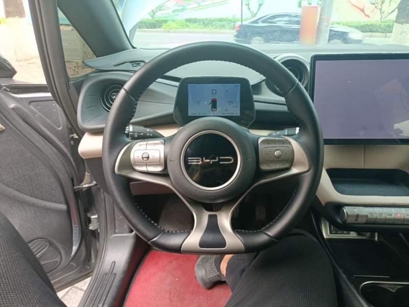Used BYD Dolphin 2023 420 km Fashion Edition — 10