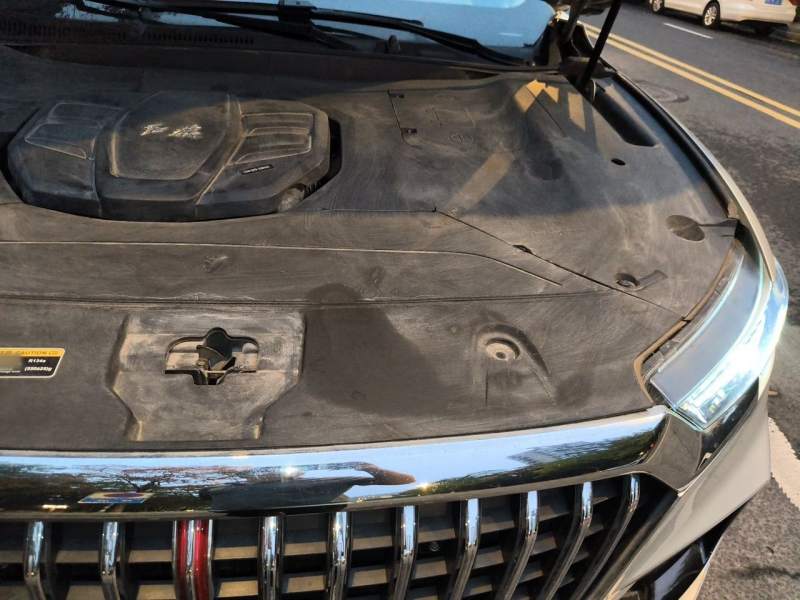 Used Hongqi HS5 2019 2.0T Smart Connect Flagship All-Wheel-Drive Version – Chinese Trim Xiang — 24