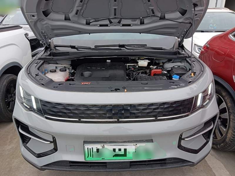 Used Radar King Kong 2025 EM-P Four-Wheel Drive Long-Box “Thousand-Mile Diamond” — 19