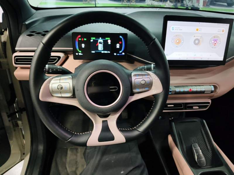 Used BYD Seagull 2023 Flying Edition — 10