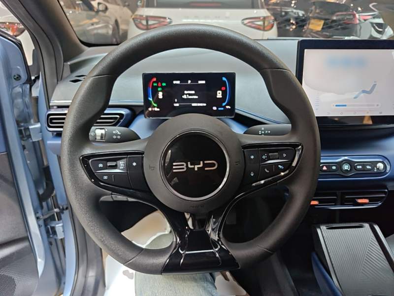 Used BYD Seagull 2025 Intelligent Driving Version 305 km Dynamic Edition — 10