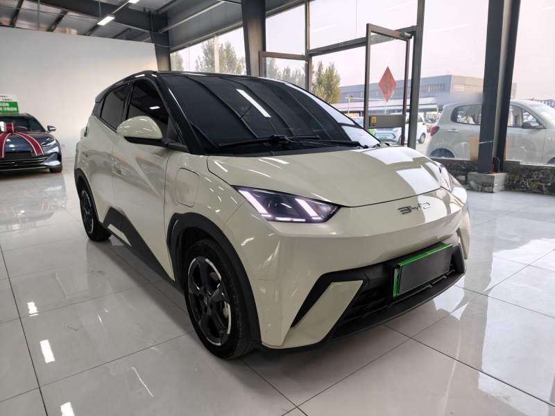 Used BYD Seagull 2023 Free Edition — 28