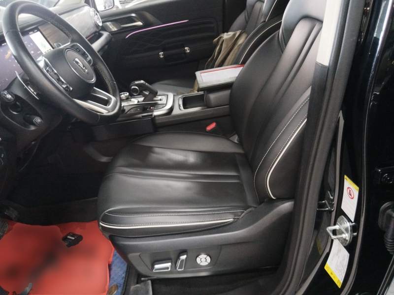 Used Tank 300 2023 Off-Road Edition 2.0T Conqueror — 14