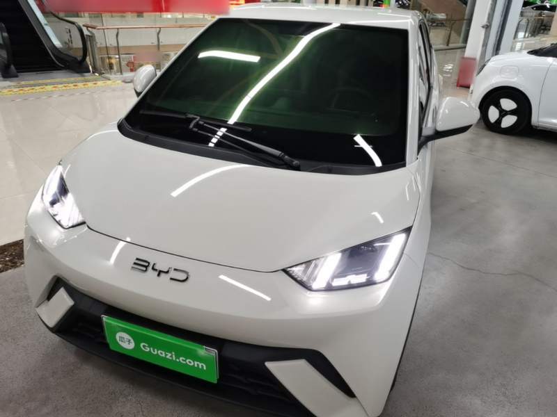 Used BYD Seagull 2025 305 km Free Version