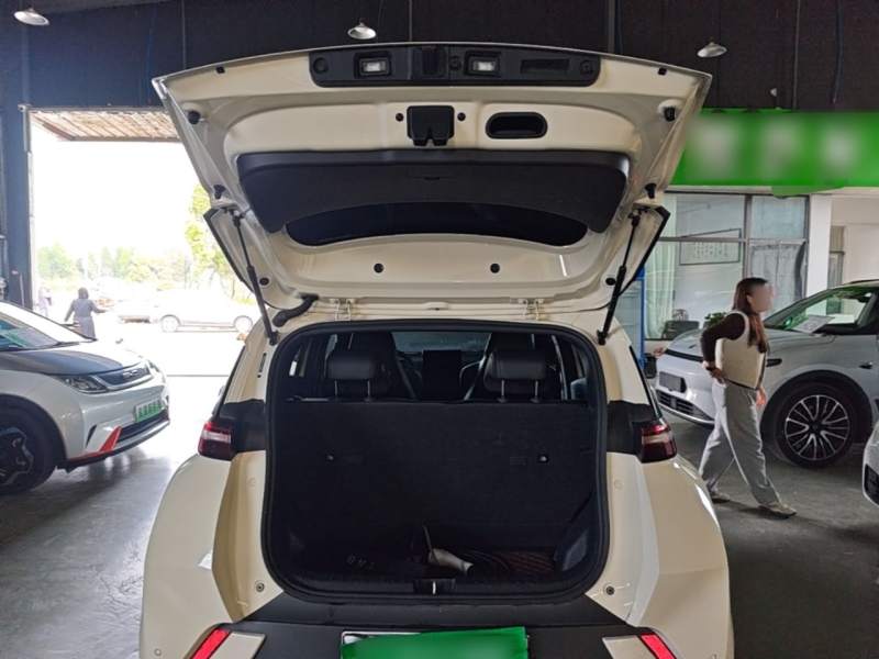 Used BYD Seagull 2023 Flying Edition — 18